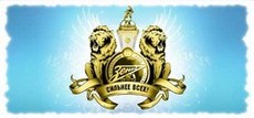 сублимация, шаблон Саратов, Зенит